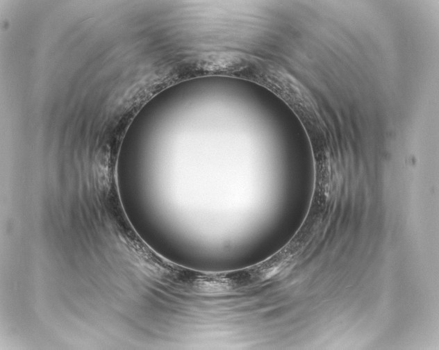 X0000088130510200705141445