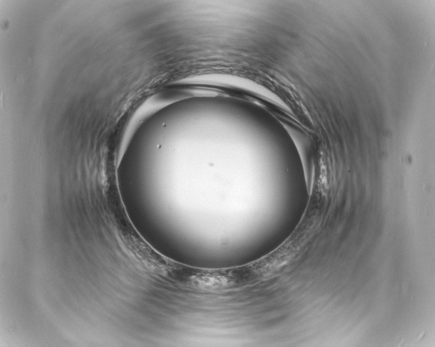 X0000088130512200705141445