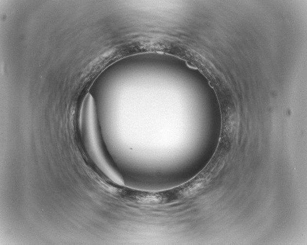 X0000088130513200705141445