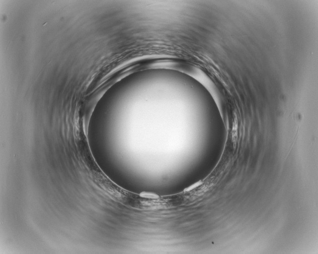 X0000088130516200705141445