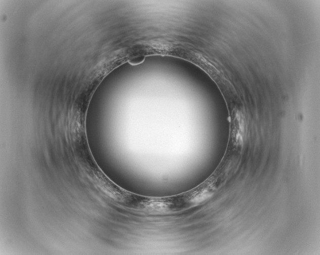 X0000088130518200705141445