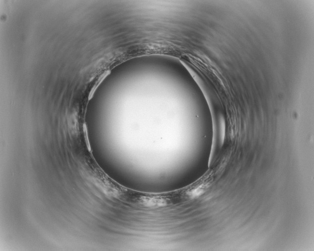 X0000088130520200705141445