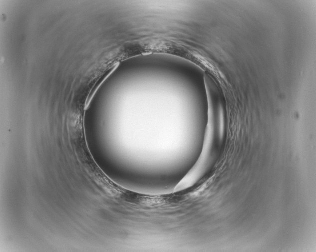 X0000088130521200705141445