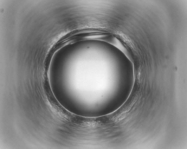 X0000088130540200705141444