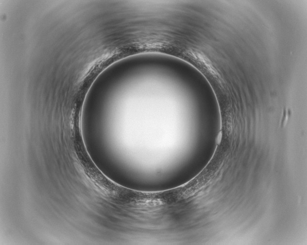 X0000088130543200705141445