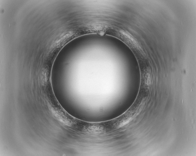 X0000088130546200705141445
