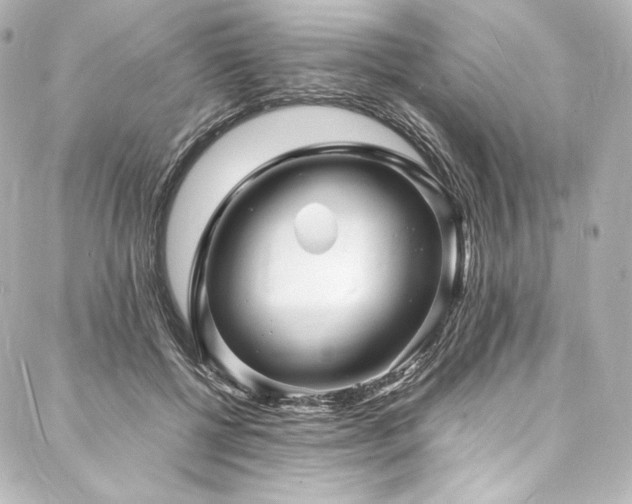 X0000088130552200705141445