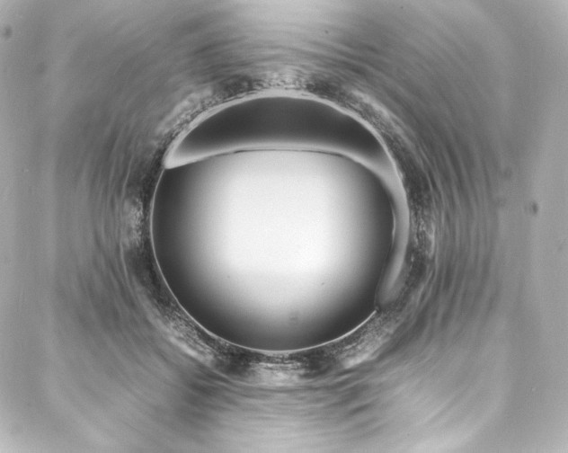 X0000088130556200705141445