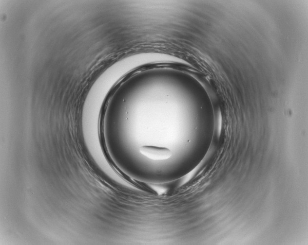 X0000088130558200705141445