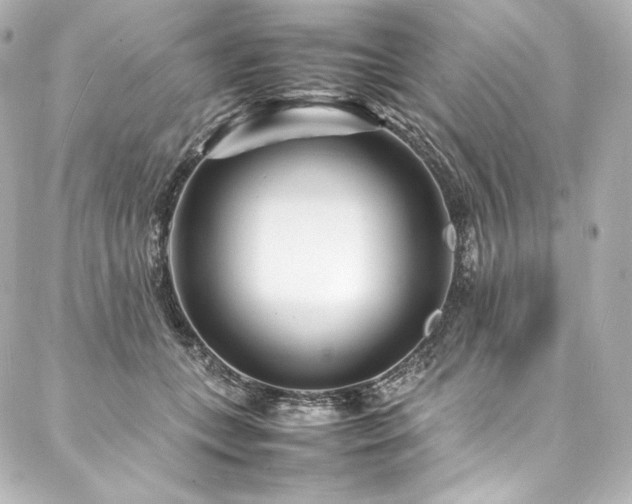 X0000088130559200705141445