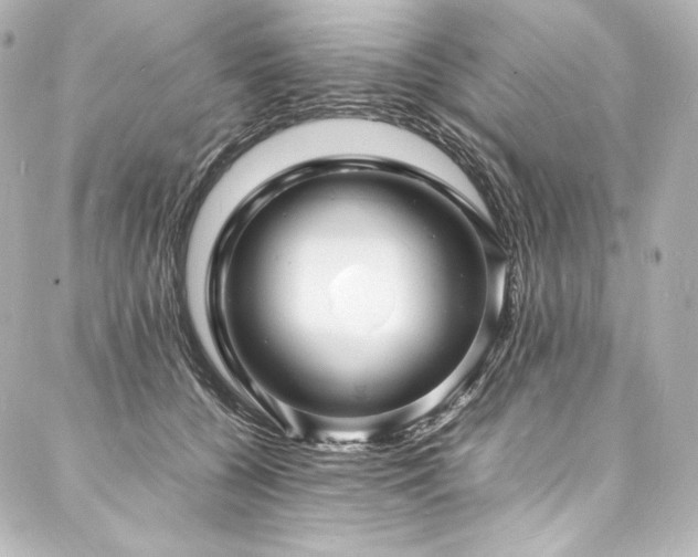 X0000088130560200705141445