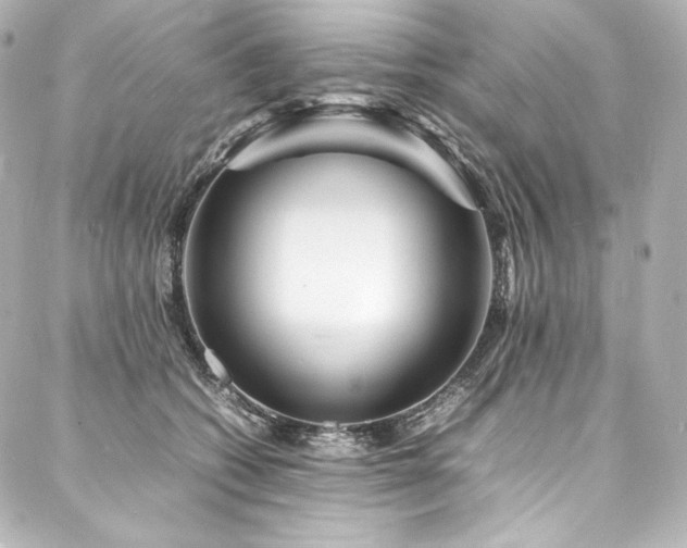 X0000088130562200705141445