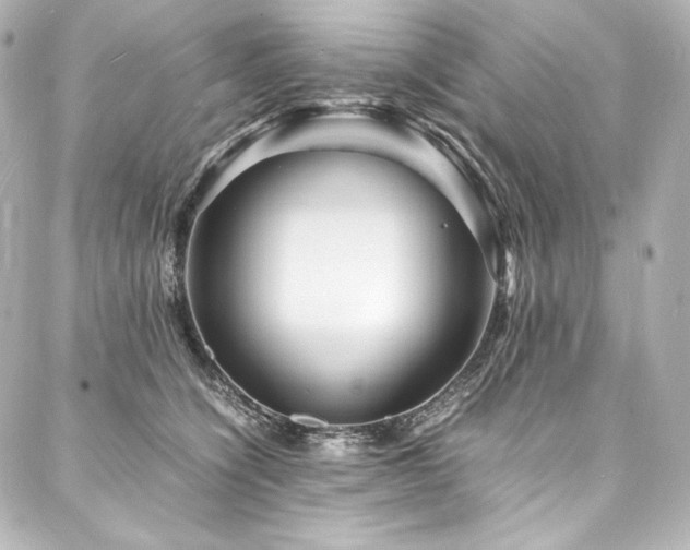 X0000088130564200705141445