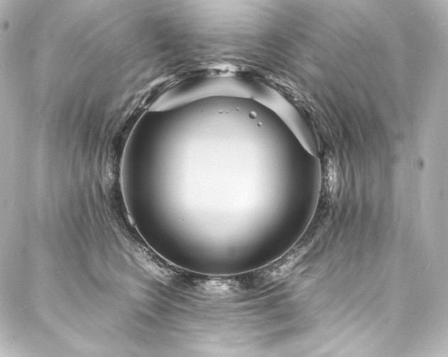 X0000088130566200705141445