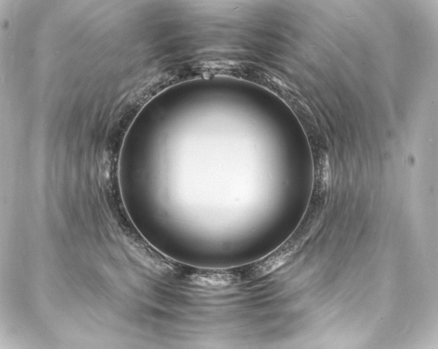 X0000088130567200705141445