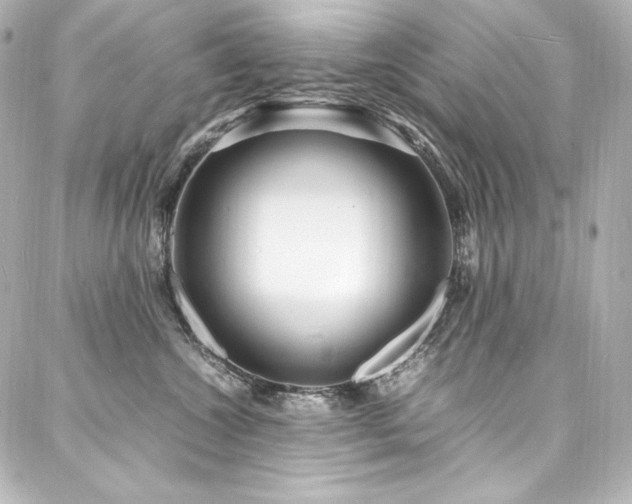 X0000088130572200705141445
