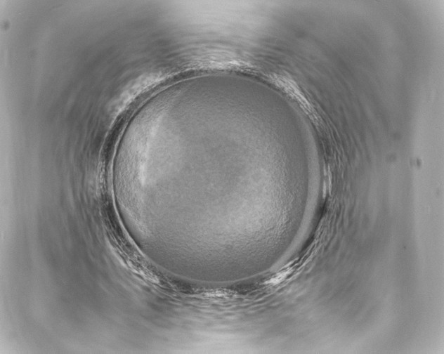 X0000088130579200705141444