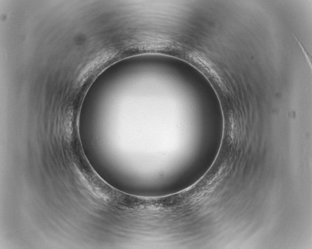 X0000088130586200705141444