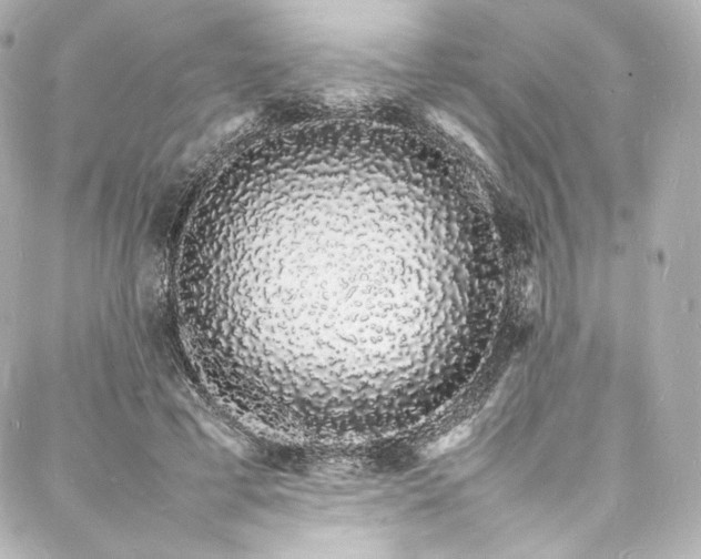 X0000088130593200705141444