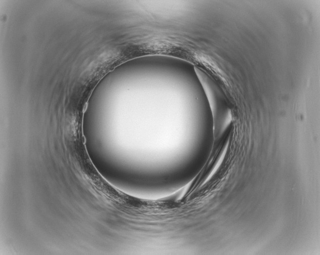 X0000088130597200705141444