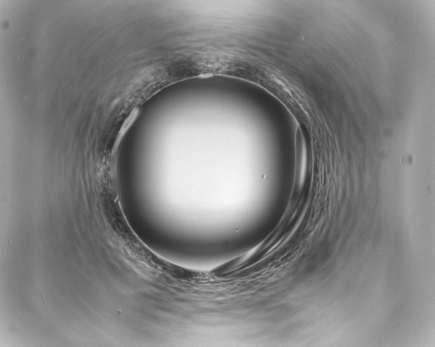 X0000088130601200705141444