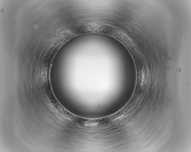 X0000088130602200705141444