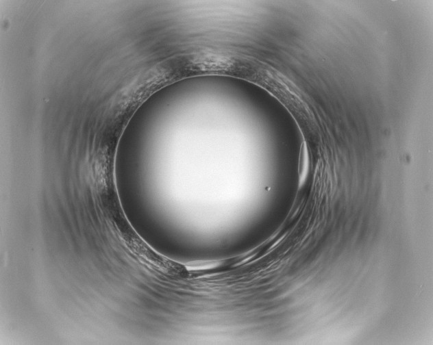 X0000088130604200705141444