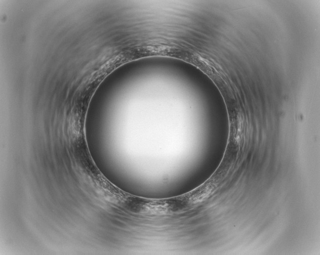 X0000088130606200705141444