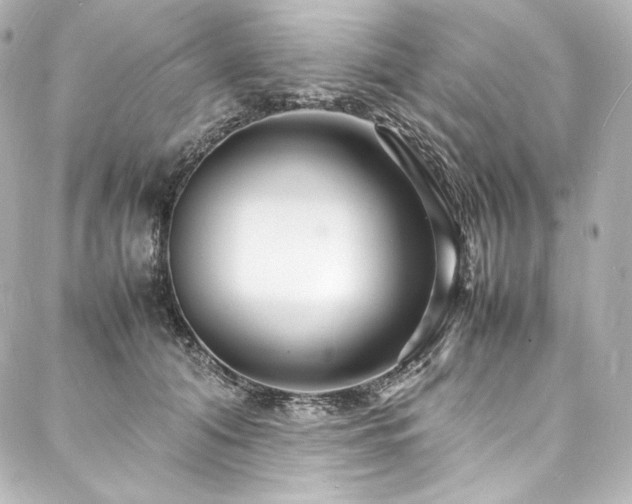 X0000088130608200705141444