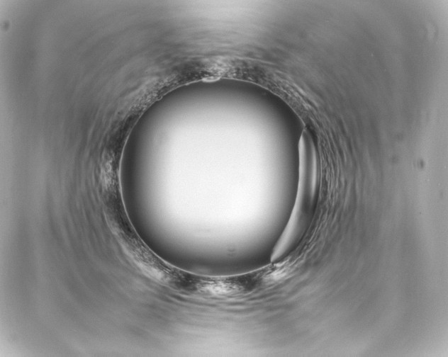 X0000088130611200705141444