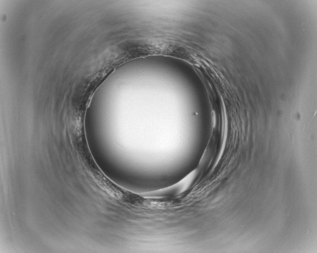 X0000088130613200705141444