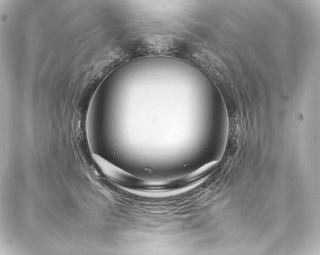 X0000088130615200705141444