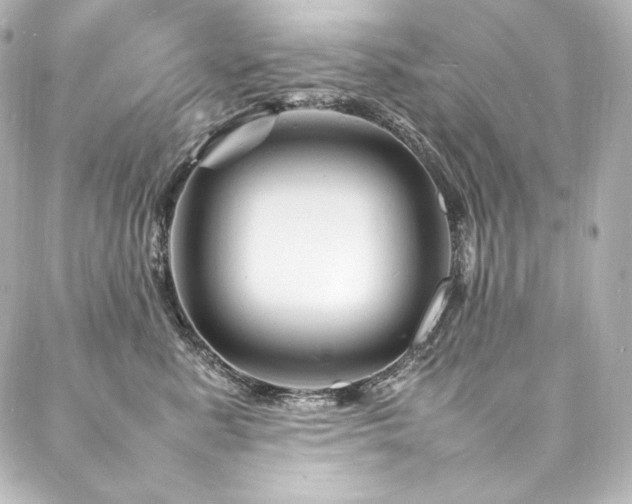 X0000088130619200705141444