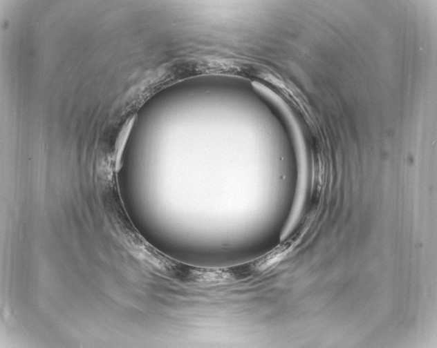 X0000088130621200705141444