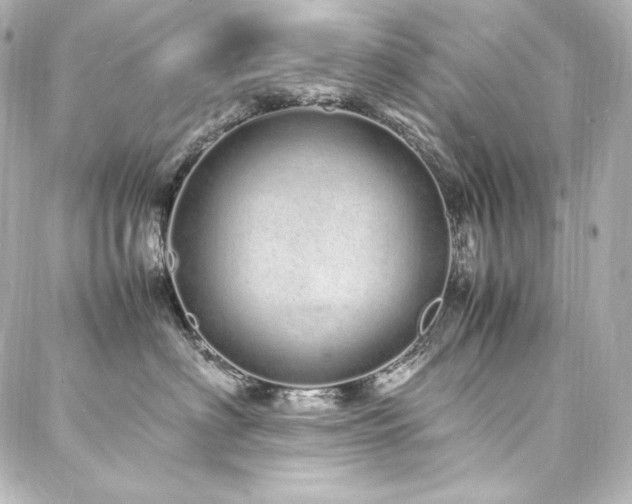 X0000088130622200705141444