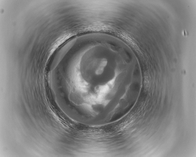 X0000088130626200705141443