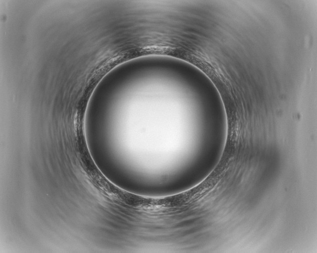X0000088130647200705141443