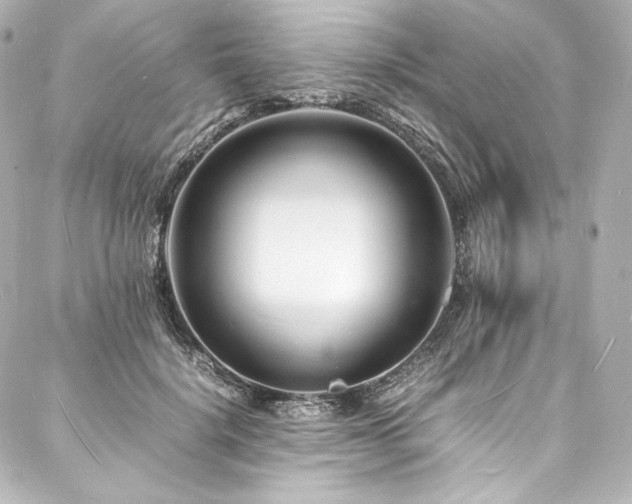 X0000088130652200705141443