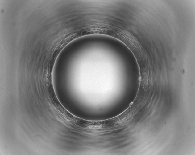 X0000088130653200705141443