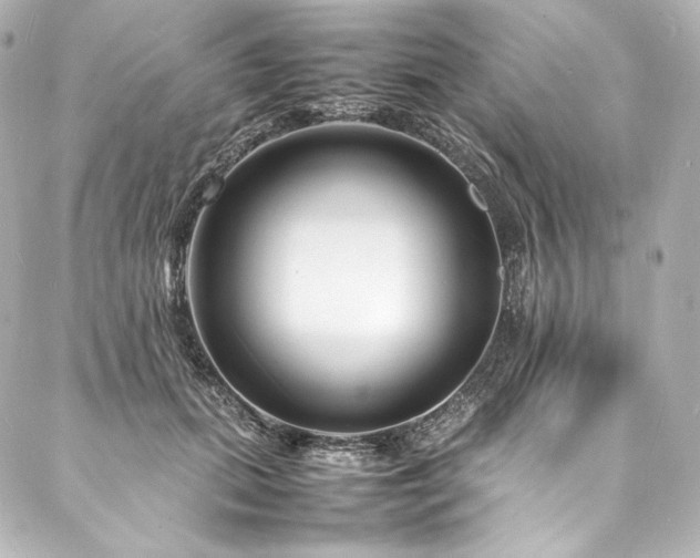 X0000088130655200705141443