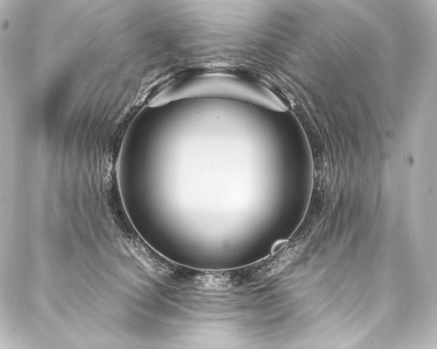 X0000088130660200705141443