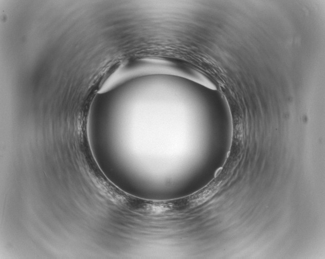 X0000088130662200705141443