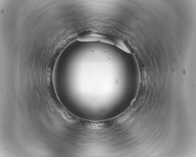 X0000088130664200705141443