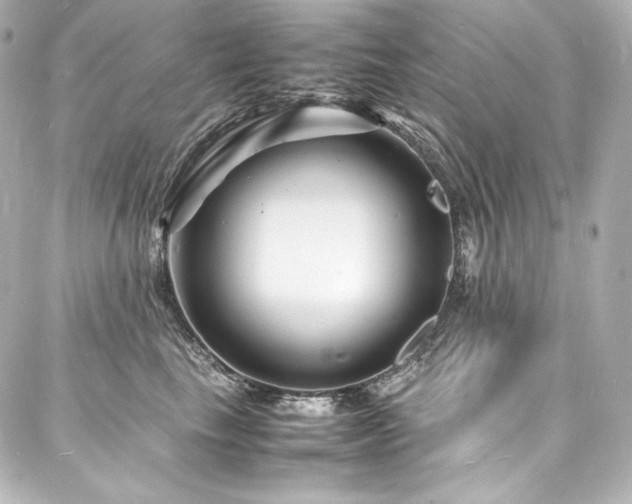 X0000088130665200705141443