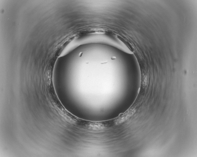 X0000088130666200705141443
