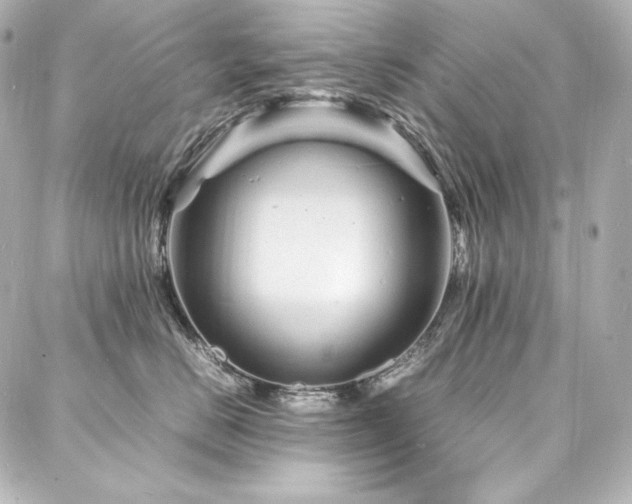 X0000088130670200705141443