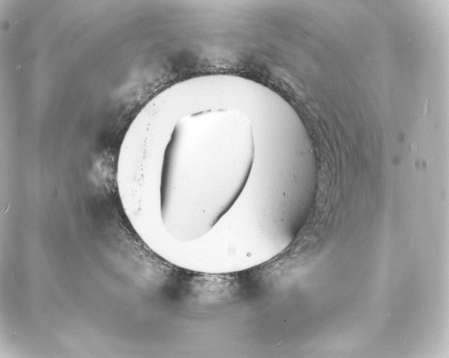X0000088130672200705141444