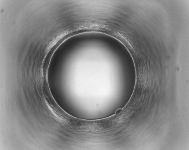 X0000088130674200705141443