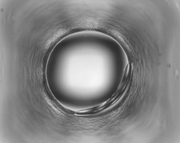 X0000088130677200705141443