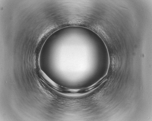X0000088130684200705141443
